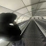 Skipidiwolf1