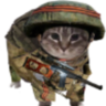 DracoOT1