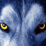Wolf1cekk