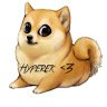 Hyperek