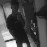 franquito_zp