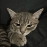 relaxopr