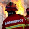 Correia329