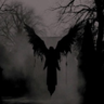 Dragonxhex