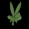 Stoned!