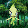 dyedera