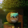 qPxji