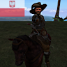tyden953