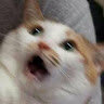 O1to