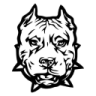 IndoorBlueWolf