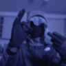 Pingu1337