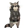 Raccoon64
