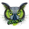 gufo_tv