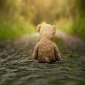 teddytedted
