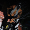 EnchantedBrownie