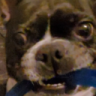 Mitrux