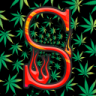 SheeshGaming420