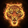 TheGamer34