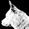 Zoovo