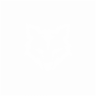 FYRZ3