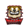 BigDogTV
