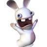 Lapin14