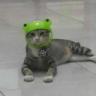 MelonSerut