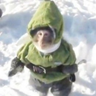 Aimakos