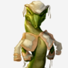 Calango_Cactus