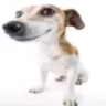 BruhLancer