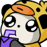 TheDuckDude