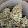 Jopolocoweed