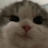 hndrazy25