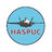 Haspuc