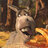 Kika_root