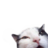 BTK