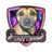 rhysboii