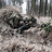 Stalker1603