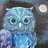 MidnightOwl