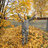 Kyblice2000250