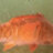 fisch