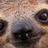 RioMartle