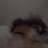 akihiro231