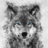 DARKWOLF22