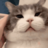 tmzliz