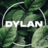 DylanXx