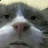 Kristis69