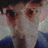 travestraves