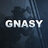 Gnasy