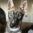 LOKIGAMER0912